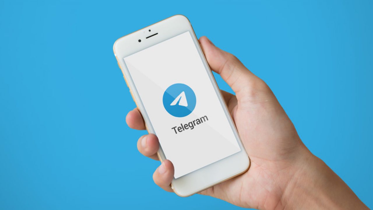 seguidores gratis telegram